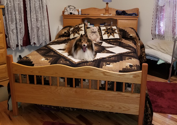 Strong cherry bookcase headboard bed with storage for books and glasses