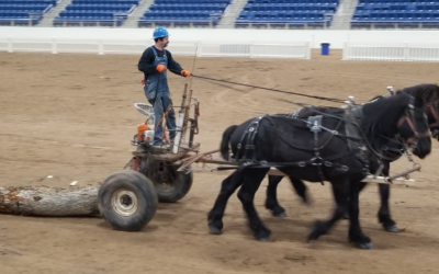 Conserving Forests through Draft Horse Logging