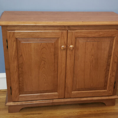2 door server with adjustable shelf